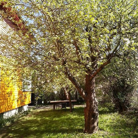 Renovated Semi- Basement 2 Bedrooms Furnished Apartment - Close To Everything In Moss Exterior photo